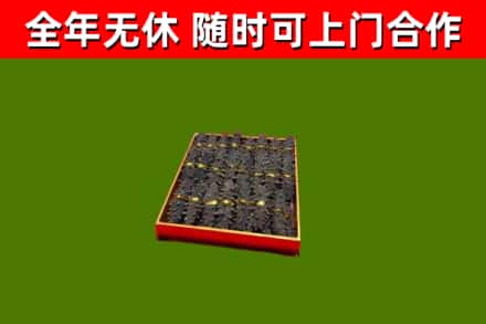 伊川回收海参